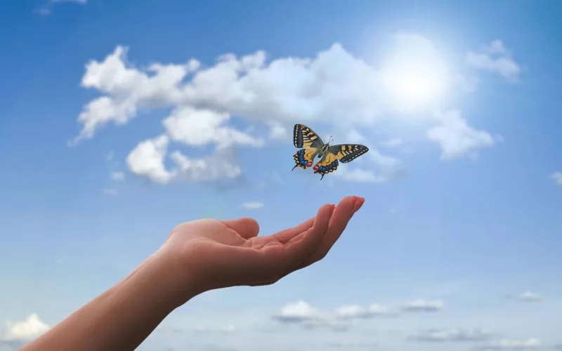 Liberación somato emocional: mano con mariposa con fondo de cielo